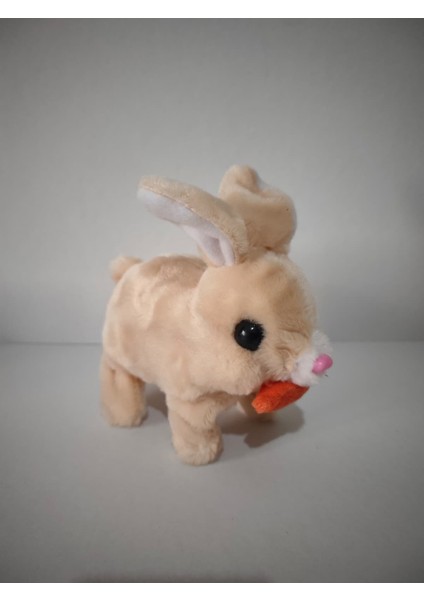 Zıplayan Kulakları Işıklı Sesli Tavşan, Pilli Hediyelik Peluş Oyuncak 18X17