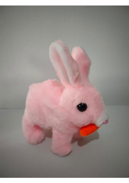 Zıplayan Kulakları Işıklı Sesli Tavşan, Pilli Hediyelik Peluş Oyuncak 18X17 modelleri