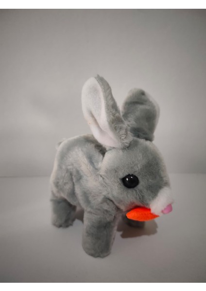 Zıplayan Kulakları Işıklı Sesli Tavşan, Pilli Hediyelik Peluş Oyuncak 18X17 fırsatları