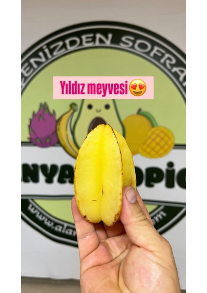 Yıldız Meyvesi (2 Adet)