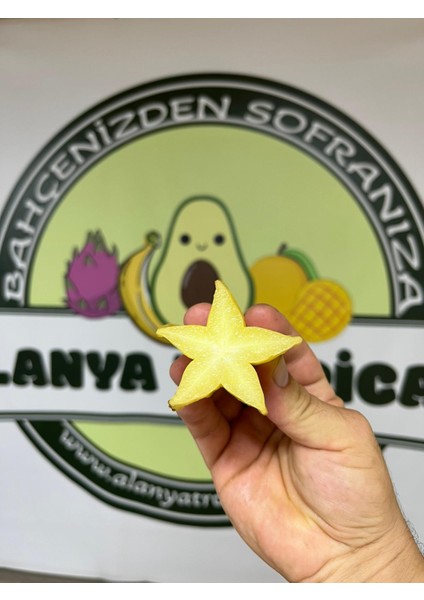 Yıldız Meyvesi (2 Adet) fiyatları