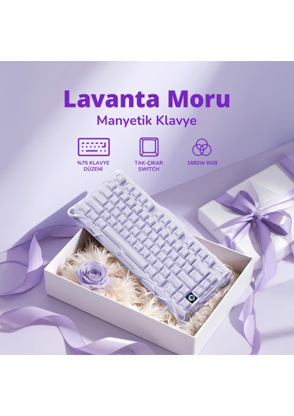 Mercury V75 He Hall Effect Manyetik Switch Gaming Klavye, Hot-Swappable, Rapid Trigger, 8000Hz, 0.125MS Ultra Düşük Gecikme, Kablolu, Rgb Işıklı, Ingilizce Q, Lavender Purple fiyatları