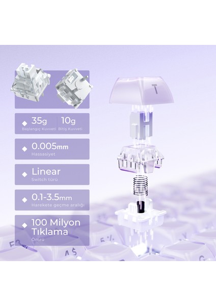 Mercury V75 He Hall Effect Manyetik Switch Gaming Klavye, Hot-Swappable, Rapid Trigger, 8000Hz, 0.125MS Ultra Düşük Gecikme, Kablolu, Rgb Işıklı, Ingilizce Q, Lavender Purple modelleri