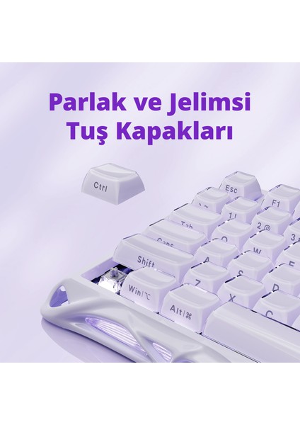 Mercury V75 He Hall Effect Manyetik Switch Gaming Klavye, Hot-Swappable, Rapid Trigger, 8000Hz, 0.125MS Ultra Düşük Gecikme, Kablolu, Rgb Işıklı, Ingilizce Q, Lavender Purple indirimleri