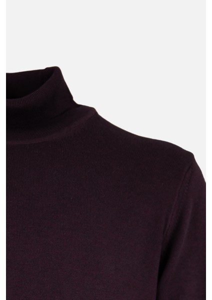 Erkek Tam Balıkçı Yaka Triko Kazak Slim Fit Yün Mürdüm fiyatları