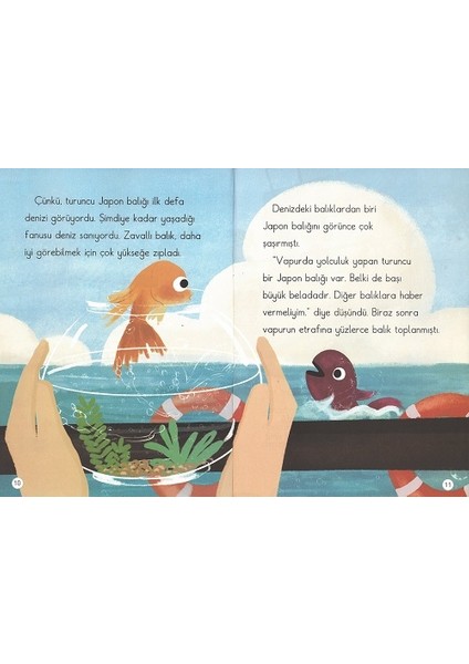 1. Sınıf Okumayı Sevdiren Renkli Resimli Hikayeler 15- 10 Kitap modelleri