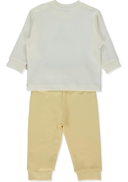 Organik Interlok Patiksiz Pijama Takımı 2li (Organıc Fun Moment) Sarı fiyatları