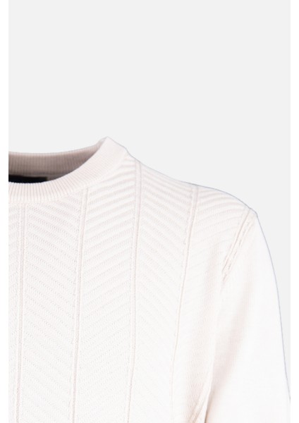 Erkek Bisiklet Yaka Triko Kazak Balıksırtı Desen Yün Modern Fit Bej fiyatları