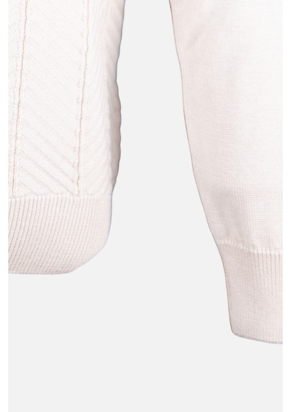 Erkek Bisiklet Yaka Triko Kazak Balıksırtı Desen Yün Modern Fit Bej modelleri