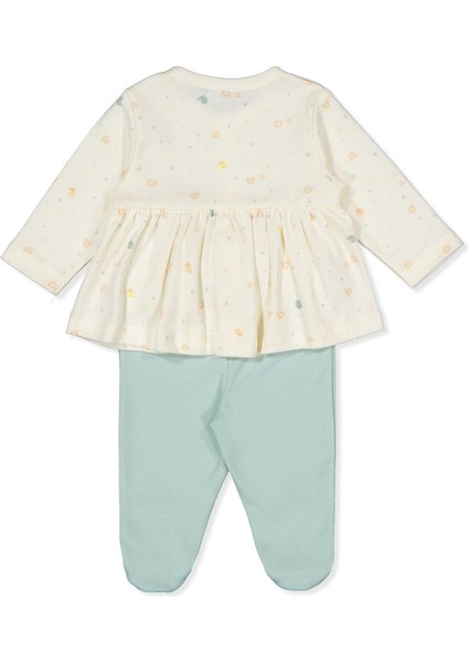 Organik Interlok Patikli Pijama Takımı 2li (Organıc Colorful Bırds) Mint fiyatları