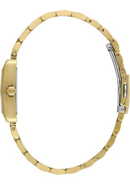 Danıel Kleın DK102-DKE.1.10821-5 Kadın Kol Saati fiyatları