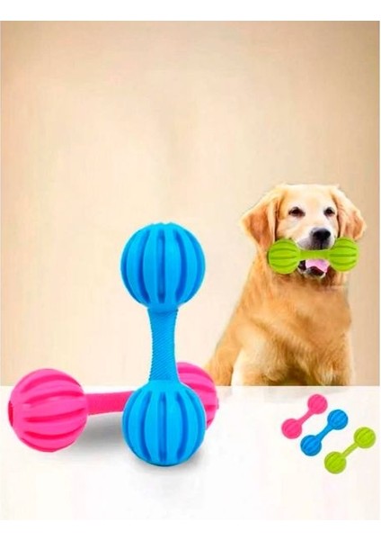 Çıngıraklı Evcil Hayvan Oyuncağı