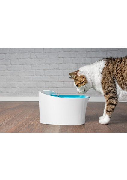 Uyarılı Kedi Köpek Su Kabı