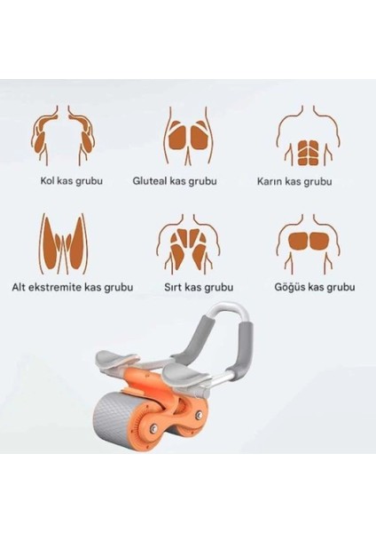 Ab Roller Karın Kası Egzersiz Tekerleği modelleri