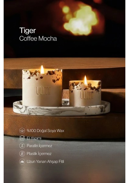 Lumi Tiger – %100 Soya Wax Vegan Beton Mum (Kaplan Gözü)