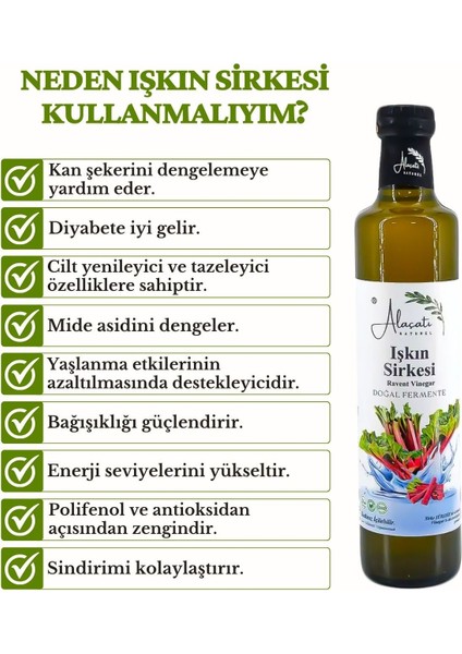 Işkın Sirkesi Yüksek Polifenol ve Antioksidan Doğal Fermantasyon - Ravent Vinegar 500 ml fiyatları