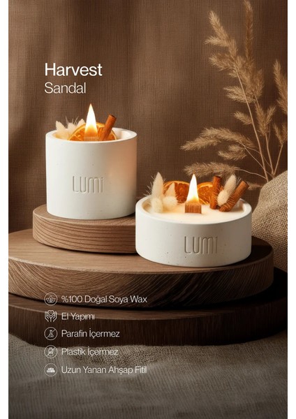Lumi Harvest – %100 Soya Wax Vegan Beton Mum (Kurutulmuş Çiçek & Meyve)