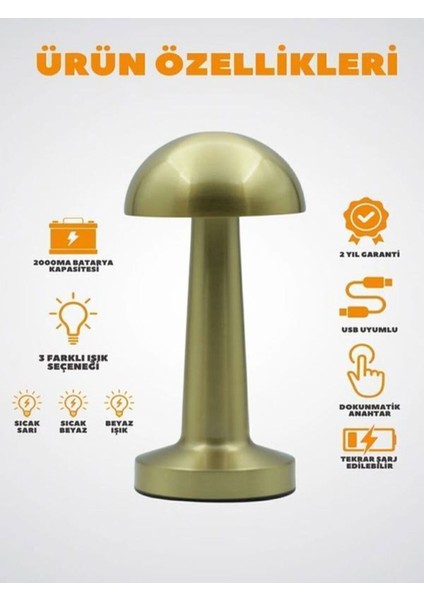 Mantar Masa Lambası Dekoratif Metal Gold Renk Kablosuz Ledli 5V 3renk Dokunmatik Şarjlı modelleri