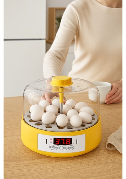 Tam Otomatik Ev Tipi Kuluçka Makinesi Isı ve Nem Ayarlı Gün Sayaçlı indirimleri