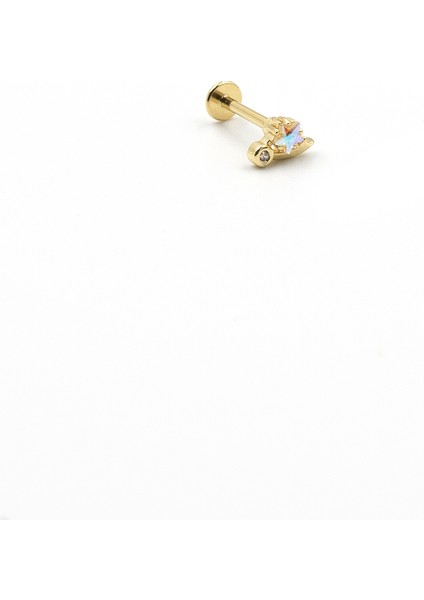 Gold Renk Yıldız Detaylı Tragus & Helix Piercing – Anti Alerjik, Kararma Yapmaz fiyatları
