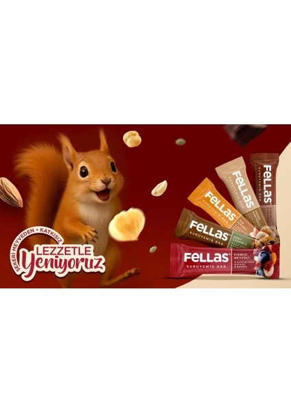 Fellas Dört Tohumlu Kuruyemiş Bar 12X30 gr fırsatları