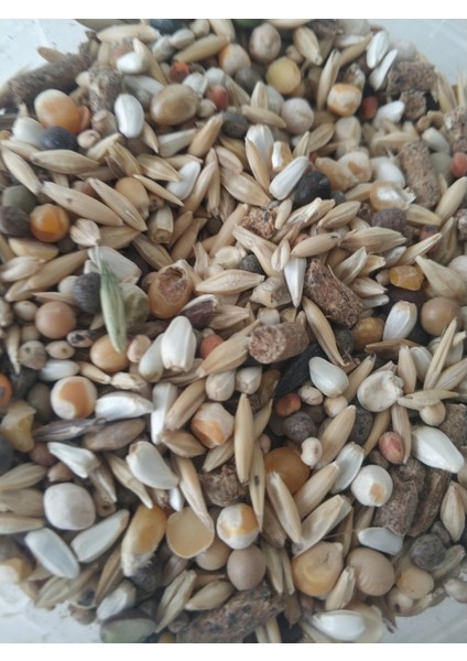 3 kg Mix Karışım Yem Kemirgen Yemi 3 Kg(16 Çeşit) fırsatları