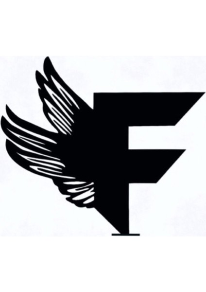 Elpo Şeffaf Eldiven 100 Paket 1 Koli 10.000 Adet modelleri