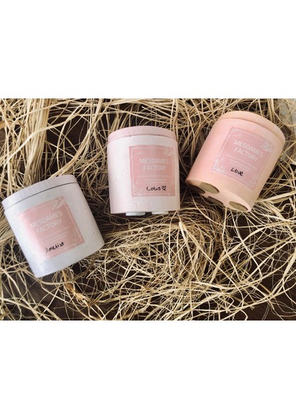 Stonepot Mum fiyatları