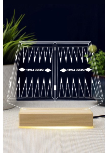 3D LED Lamba Tavla Ustası Tasarımlı Beyaz Işıkli Dekorasyon Parçası