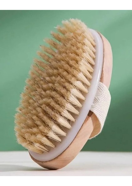 At Kılı Vücut Fırçası (4940) fiyatları