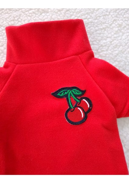 Polar Sweat Kirazlı Kedi Köpek Kıyafeti modelleri