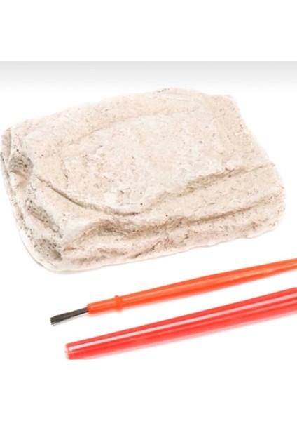 10 Adet Renkli Dinozor Arkeolojik Kazı Kiti Stem fiyatları