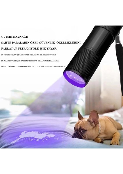 ışığı ultraviole wt-302