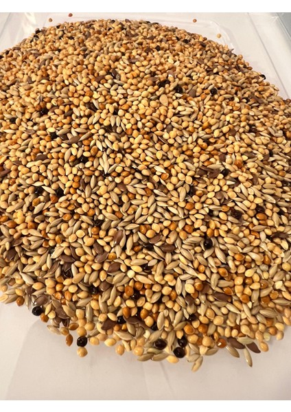 Premium %20 Aspur Oranlı Karışık Muhabbet Kuşu Yemi 800 Gr. fiyatları