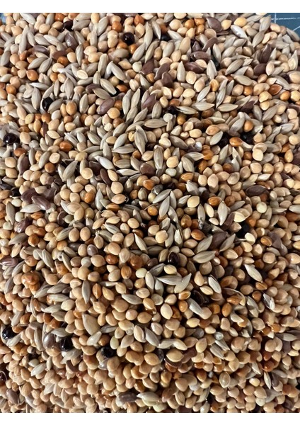 Premium %20 Aspur Oranlı Karışık Muhabbet Kuşu Yemi 800 Gr. fırsatları