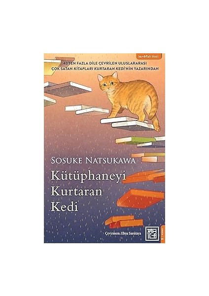 Senin Yüzünden + Nasılsın Hayatım + Kütüphaneyi Kurtaran Kedi modelleri