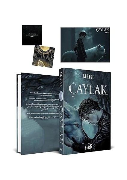 Senin Yüzünden (Ciltli) + Kakımın Kanı + Aşkın Dansı + Çaylak (Ciltli) fırsatları