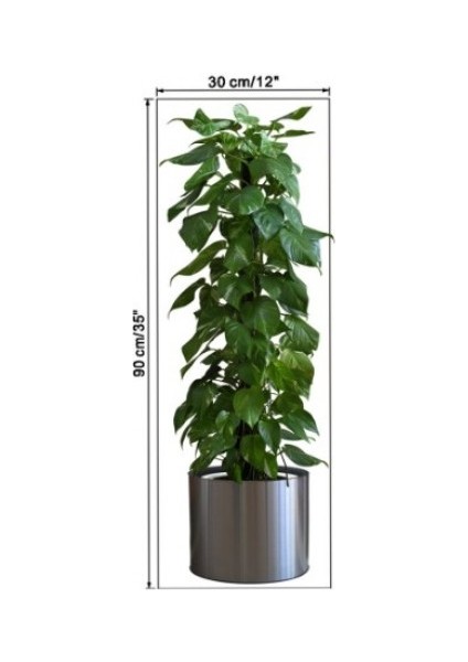 Saksılı Bitki Tasarımlı Yapışkanlı Sticker Resim 90*30 cm (4940) fırsatları