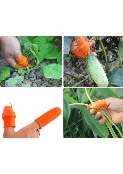 Pratik Baş Parmak Sebze Kesme Ayıklayıcı Erkek L Set (4940) indirimleri