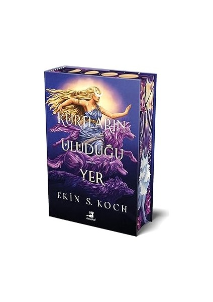 Toplu Feminist Oyunlar - 1 + Çalışkan Ayı - Kostüm Partisi (Ciltli - Hareketli Kitap) modelleri