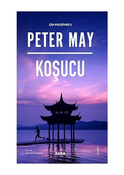 Paris’in Gizemleri (Ciltli) + Koşucu: Çin Polisiyesi 5 + Denize Söylediğimiz Yalanlar fiyatları