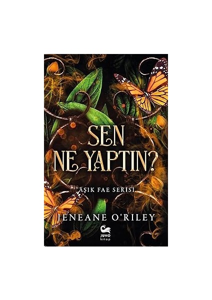 Neden Olmasın + Sen Ne Yaptın? Aşık Fae Serisi fiyatları