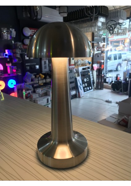 Inox Silver Günışığı Dokunmatik Dimmerli Şarjlı Masa Lambası