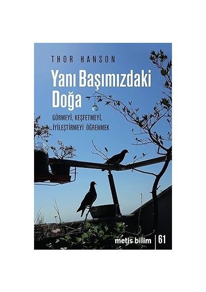 Yanı Başımızdaki Doğa + Energy: A Beginner's Guide + Yatak Odasında Felsefe