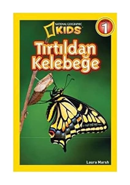 Zihnin Gölgeleri: Bilincin Bilimine Yönelik Bir Araştırma + Zaman Yolculuğu: Geçmiş, Şimdi ve Geleceğin Kısa Tarihi modelleri