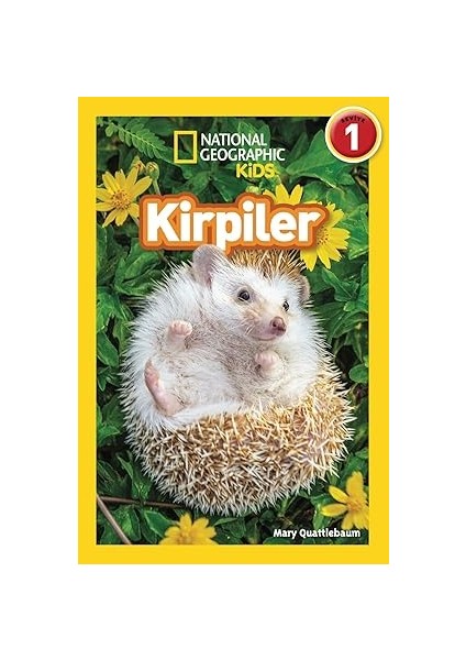 Küçük Buzul Çağı: Iklim Değişimleri Tarihin Akışını Nasıl Etkiledi? 1300-1850 modelleri