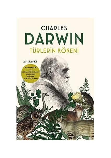 Ayşegül 5.0: Yapay Zeka ve Gelecek Için Otostopçunun Galaksi Rehberi fiyatları