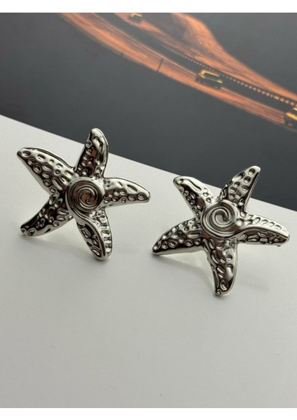 Spiral Yıldız Gümüş Renk Küpe fiyatları