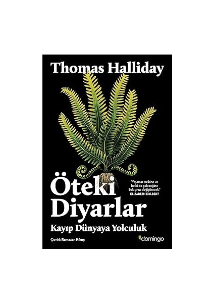 Kadın Kahramanın Yolculuğu: Kadının Bütünlük, Iyileşme ve Denge Arayışı + Öteki Diyarlar - Kayıp Dünyaya Yolculuk fiyatları