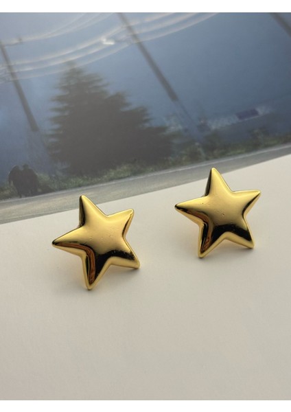 Yıldız Küpe Altın Kaplama Küpe Kararmaz Kutulu